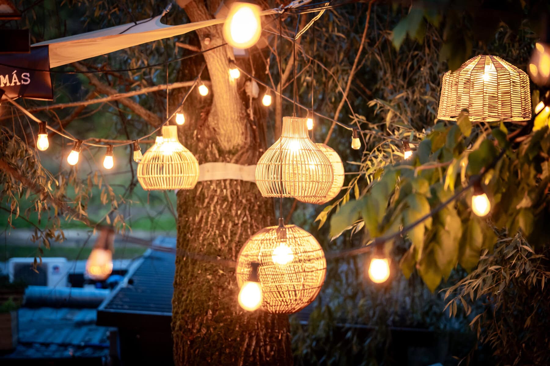 Restauracja Miejsce - Jedzenie